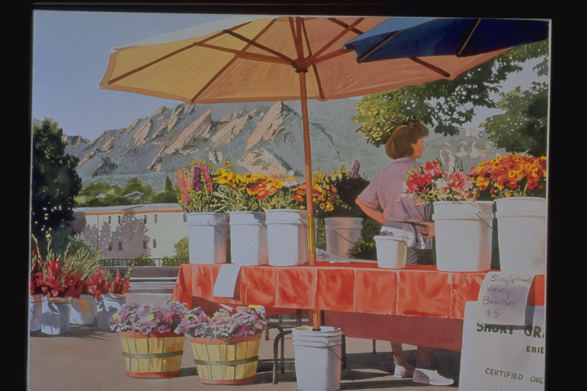 Views of the Flatirons preview